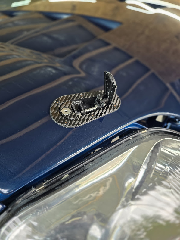 Hood finish and carbon-fiber hood-pin surround